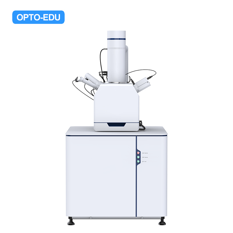 Tungsten Filament Scanning Electron Microscope, SE, 300000x